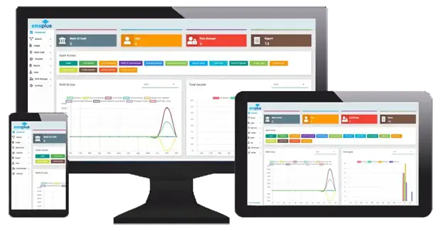 Access real-time financial status of your school through EMSPlus